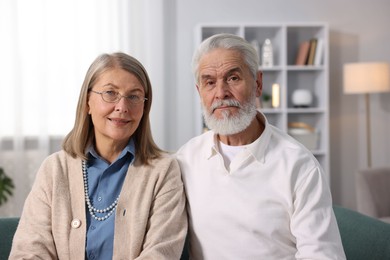 Portrait of happy elderly couple at home