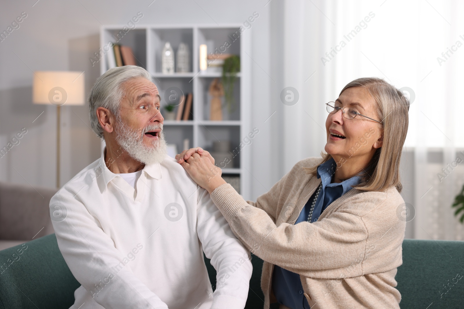 Photo of Cute elderly couple laughing on sofa at home