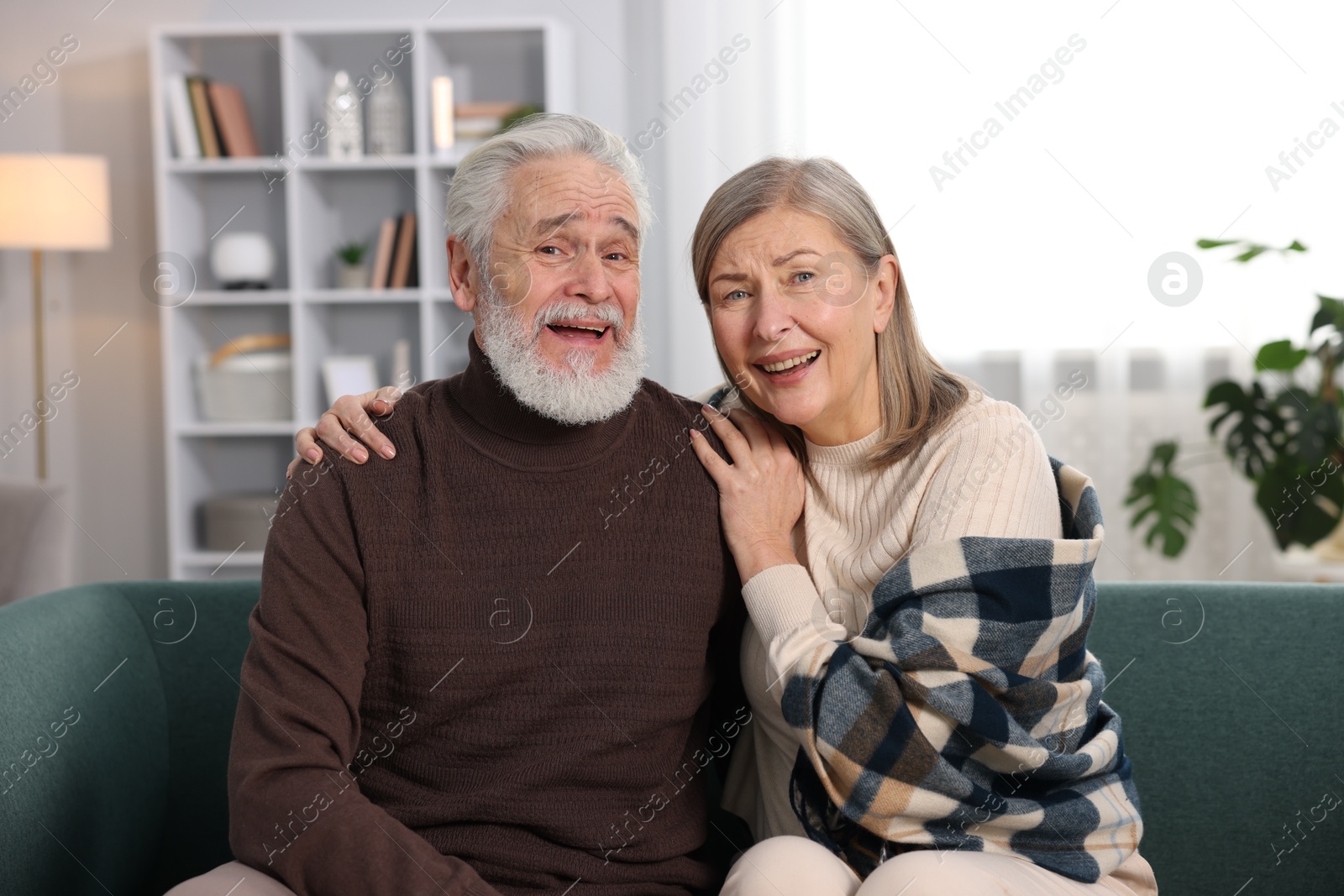 Photo of Portrait of happy elderly couple on sofa at home