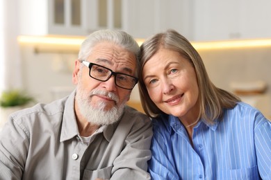 Portrait of happy elderly couple at home