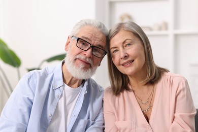 Portrait of happy elderly couple at home