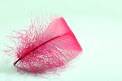 Photo of One fluffy pink feather on light background, closeup. Space for text