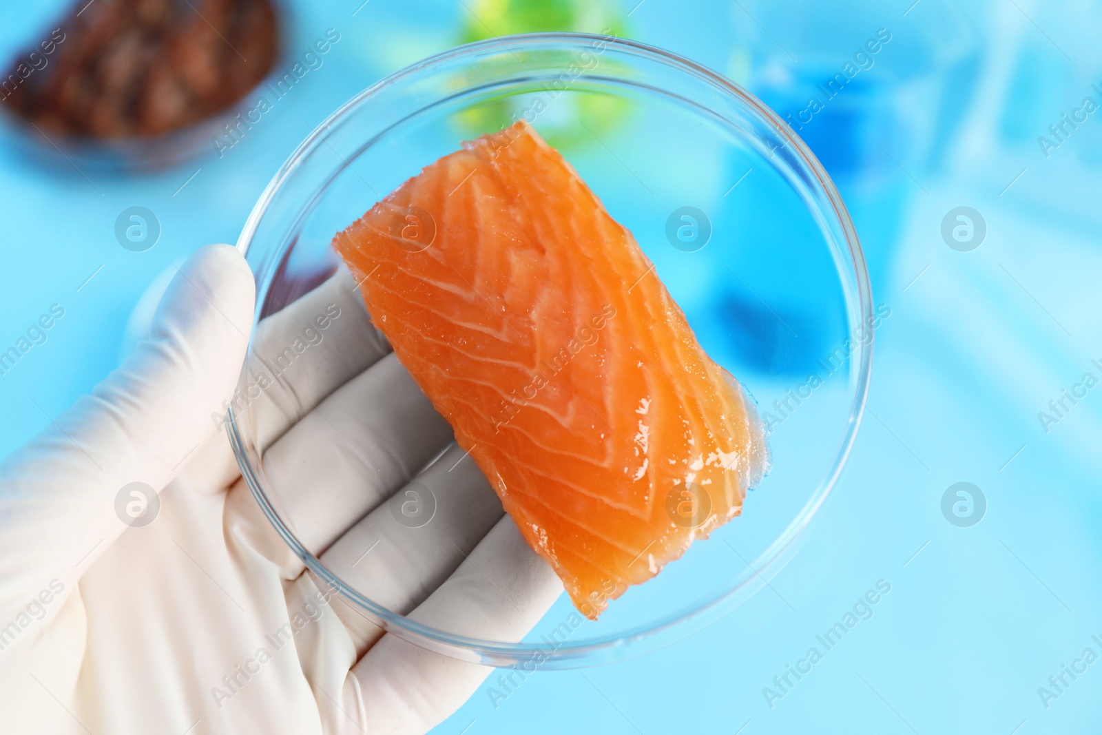 Photo of GMO concept. Scientist with piece of salmon in laboratory, closeup