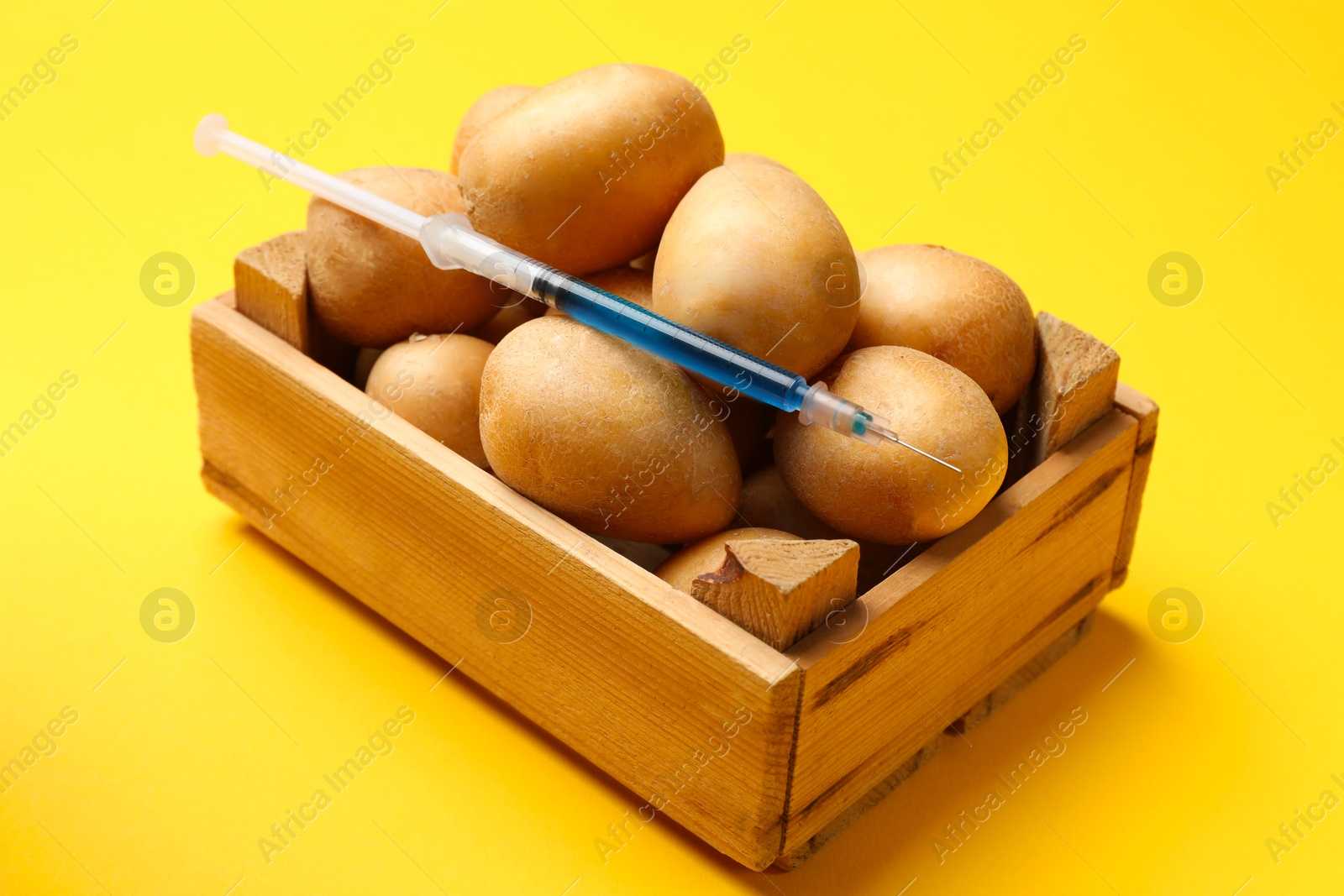 Photo of GMO concept. Potatoes and syringe with liquid in crate on yellow background, closeup