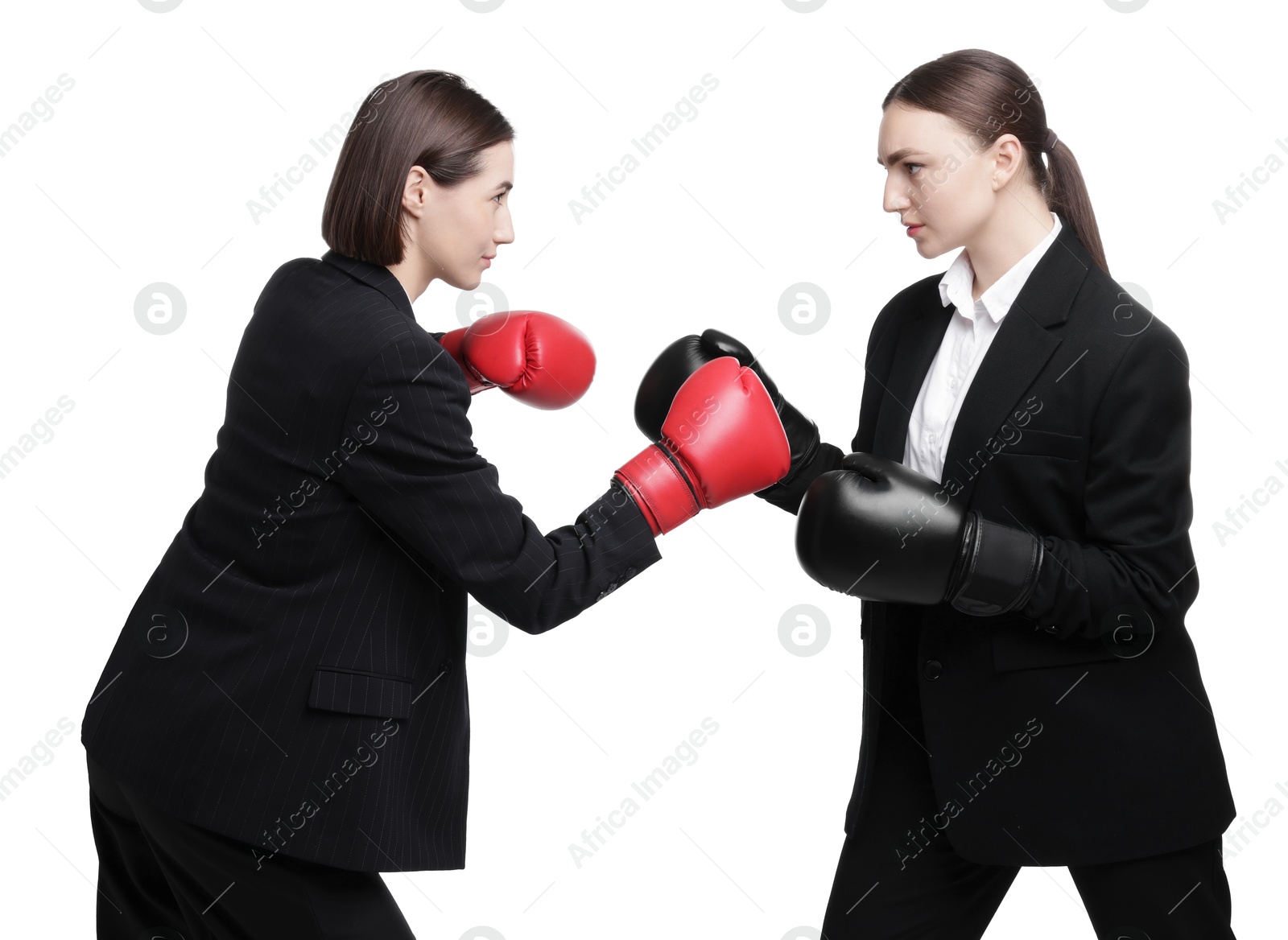 Photo of Competition. Businesswomen in gloves boxing on white background