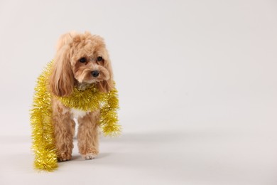 Photo of Cute dog with shiny tinsel on white background. Space for text