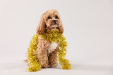 Photo of Cute dog with shiny tinsel on white background