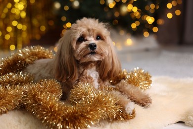 Photo of Cute dog with shiny tinsels on floor against blurred lights