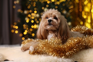 Photo of Cute dog with shiny tinsels on floor against blurred lights. Space for text