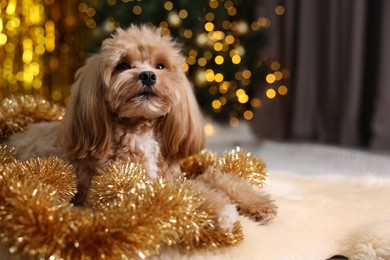 Photo of Cute dog with shiny tinsels on floor against blurred lights. Space for text