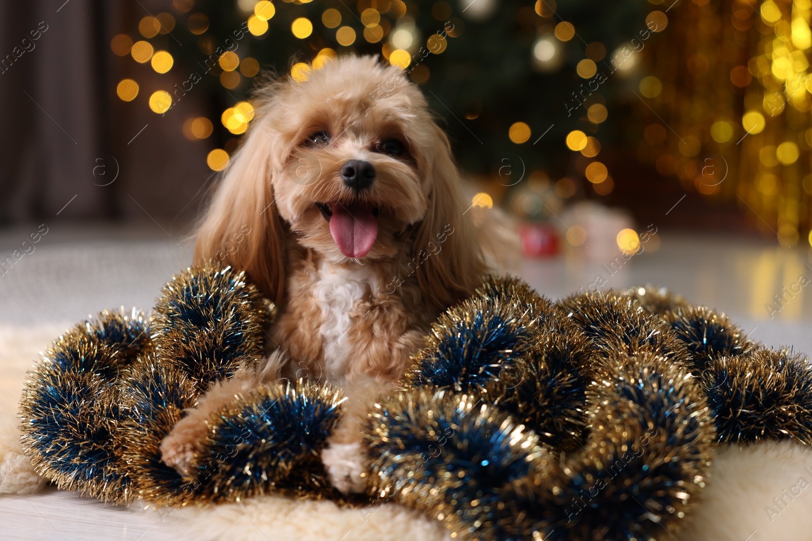 Photo of Cute dog with shiny tinsels on floor against blurred lights