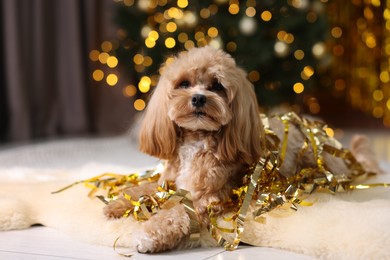 Photo of Cute dog with pile of shiny tinsels on floor against blurred lights