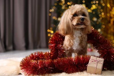 Photo of Cute dog with shiny tinsel and gift box on floor against blurred lights. Space for text