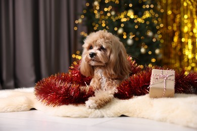 Photo of Cute dog with shiny tinsel and gift box on floor against blurred lights