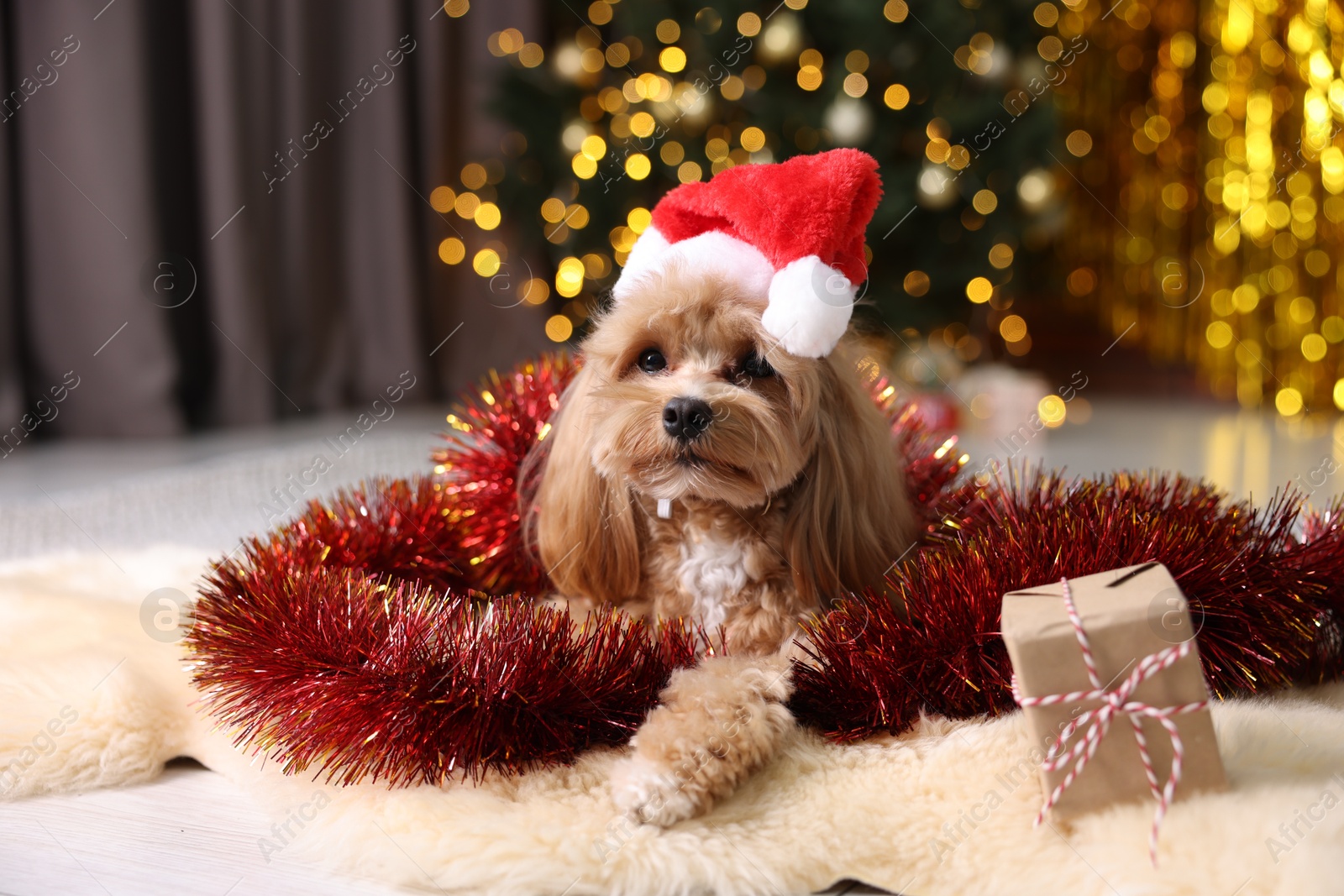 Photo of Cute dog in Santa hat with shiny tinsel and gift box on floor against blurred lights