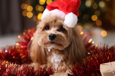 Photo of Cute dog in Santa hat with shiny tinsel against blurred lights