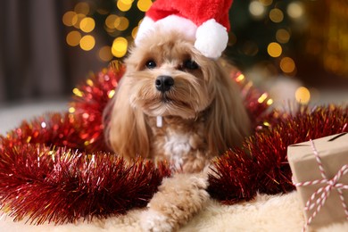 Photo of Cute dog in Santa hat with shiny tinsel and gift box on floor against blurred lights