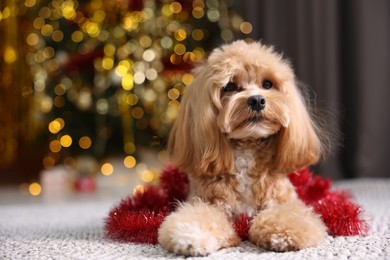 Photo of Cute dog with shiny tinsel on floor against blurred lights. Space for text