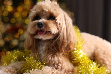 Photo of Cute dog with shiny tinsel against blurred lights, closeup