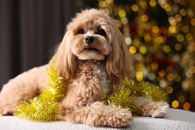 Photo of Cute dog with shiny tinsel lying on sofa against blurred lights