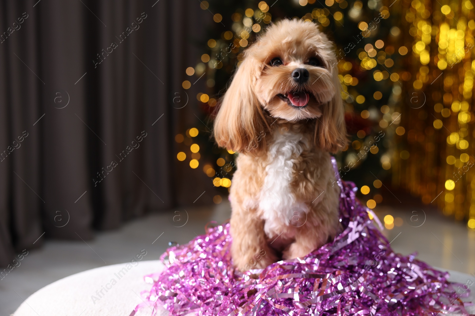 Photo of Cute dog with pile of shiny tinsels against blurred lights. Space for text