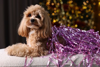 Photo of Cute dog with shiny tinsels on sofa against blurred lights