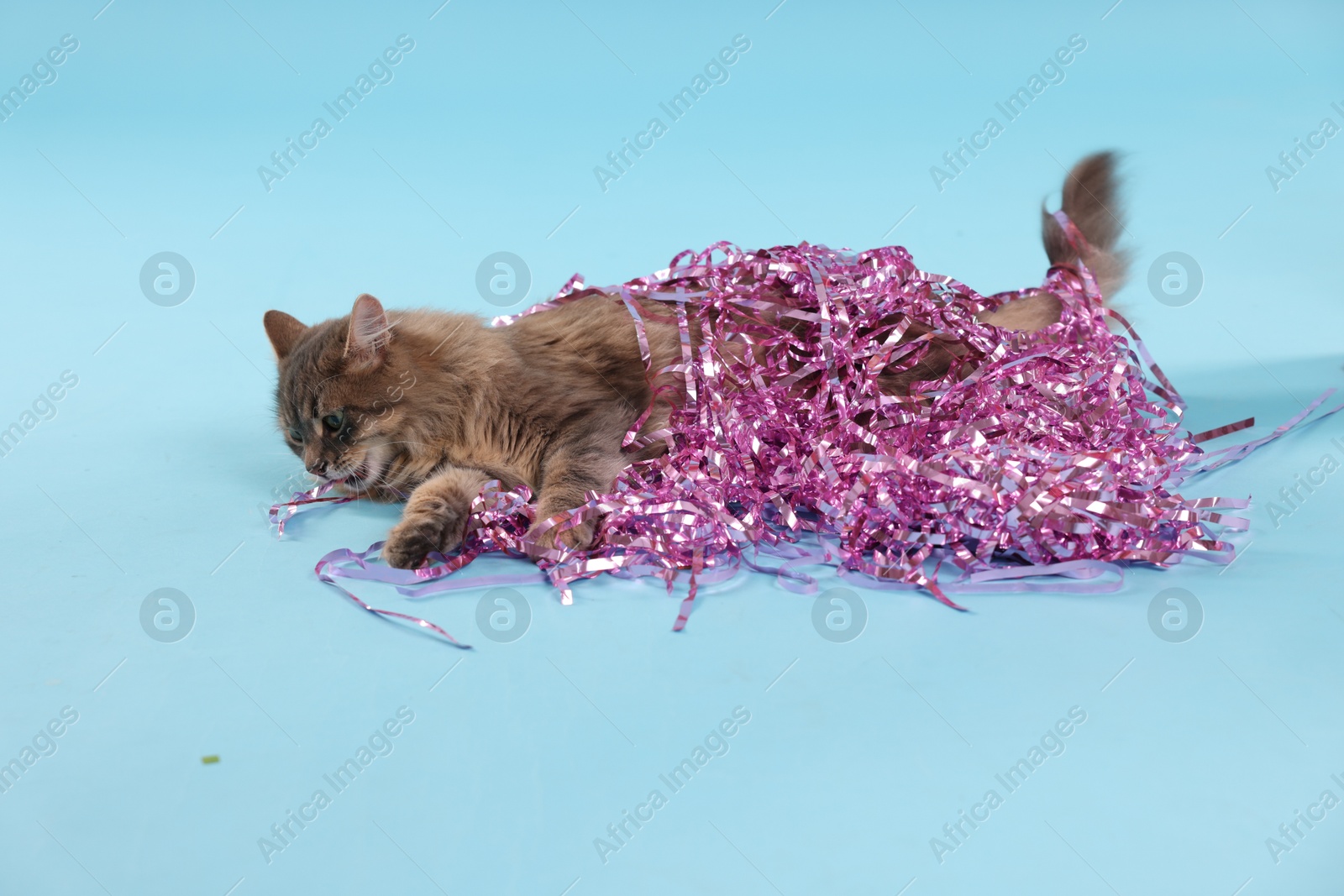 Photo of Cute cat with pink Christmas tinsel on light blue background