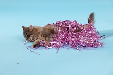 Photo of Cute cat with pink Christmas tinsel on light blue background