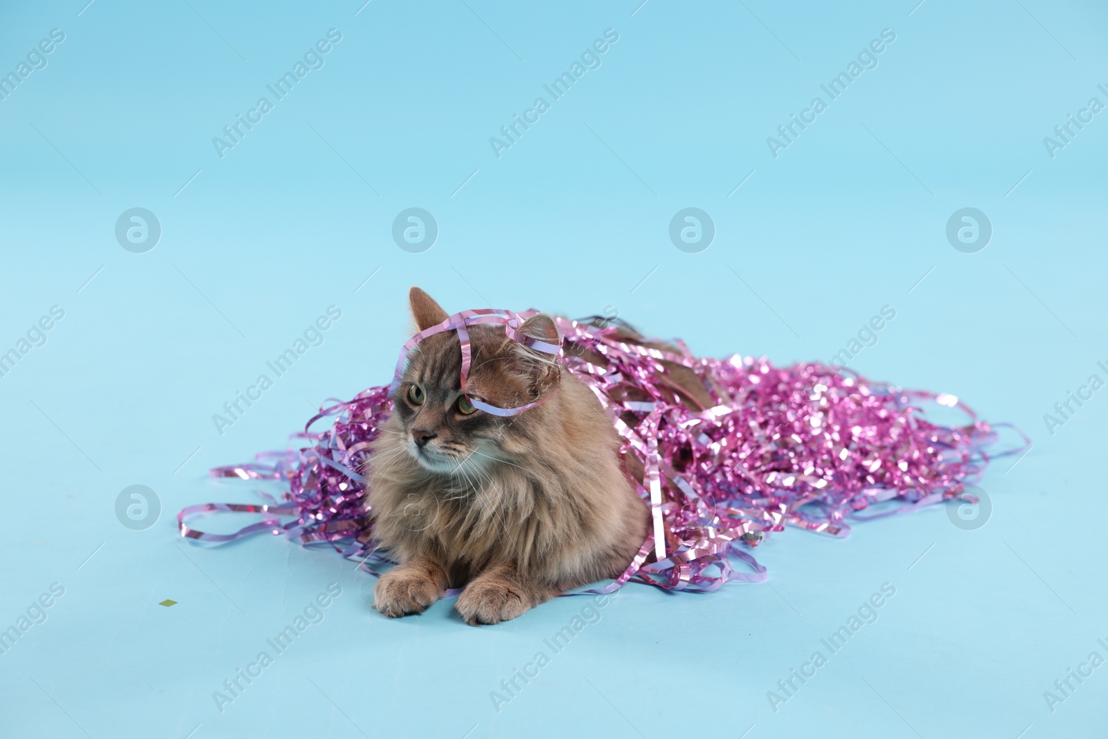 Photo of Cute cat with pink Christmas tinsel on light blue background