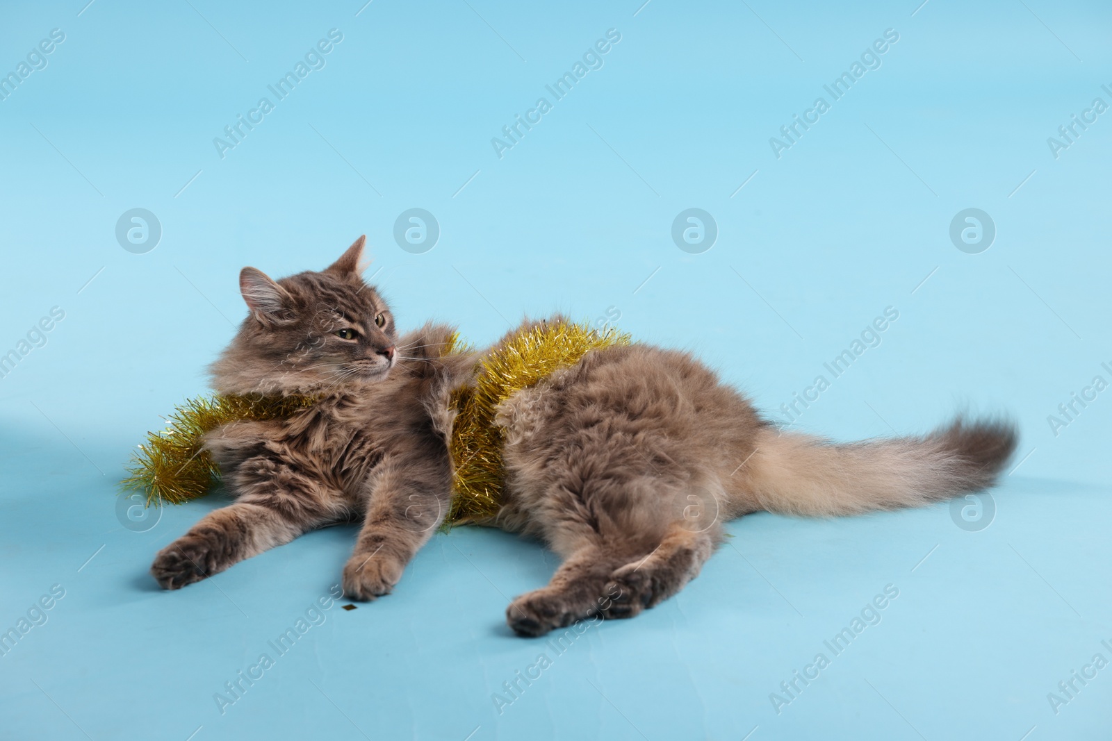 Photo of Cute cat with yellow Christmas tinsel on light blue background