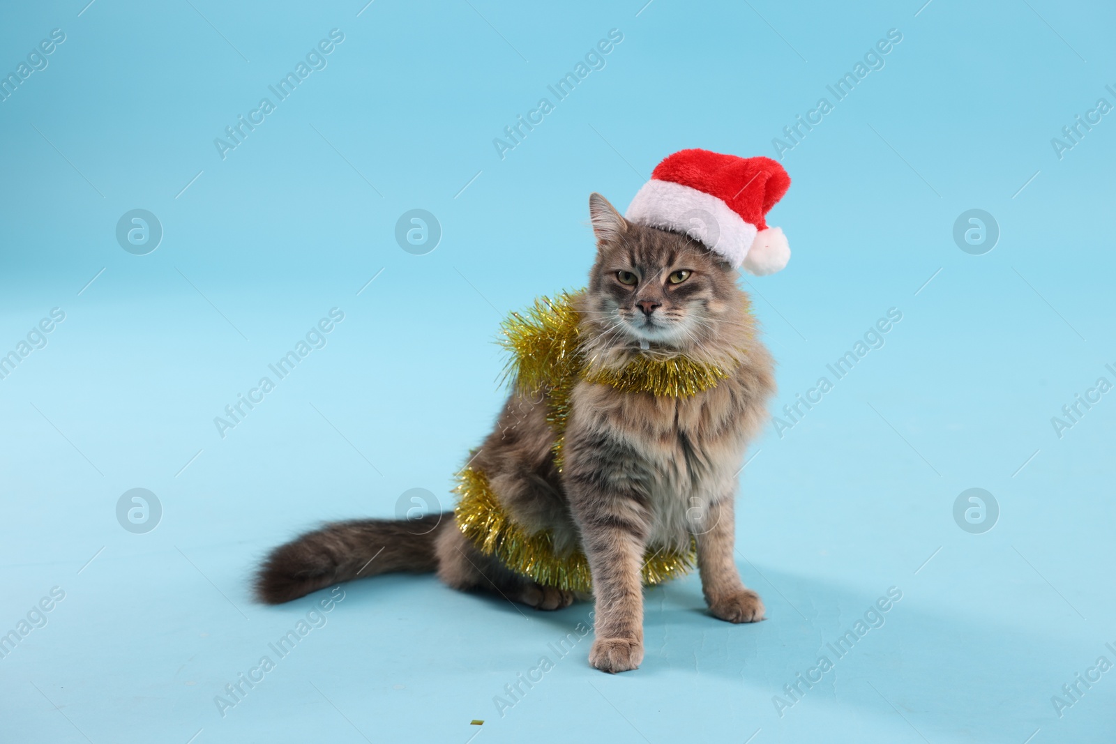 Photo of Cute cat in Santa hat with yellow Christmas tinsel on light blue background