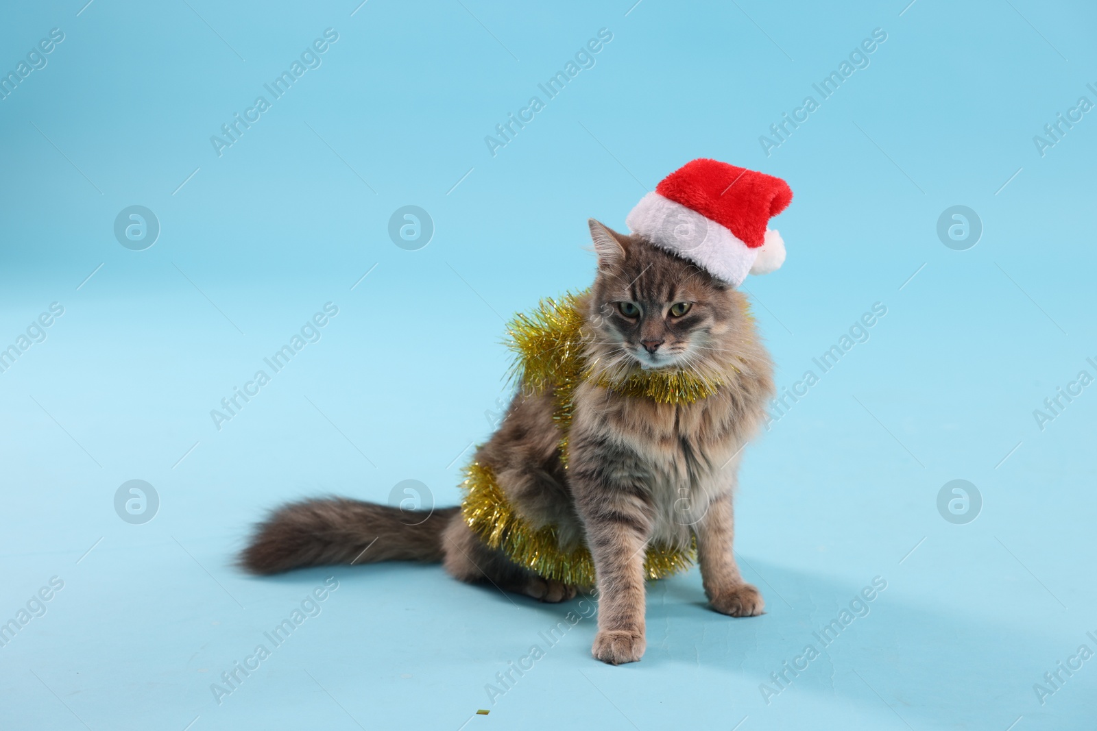 Photo of Cute cat in Santa hat with yellow Christmas tinsel on light blue background