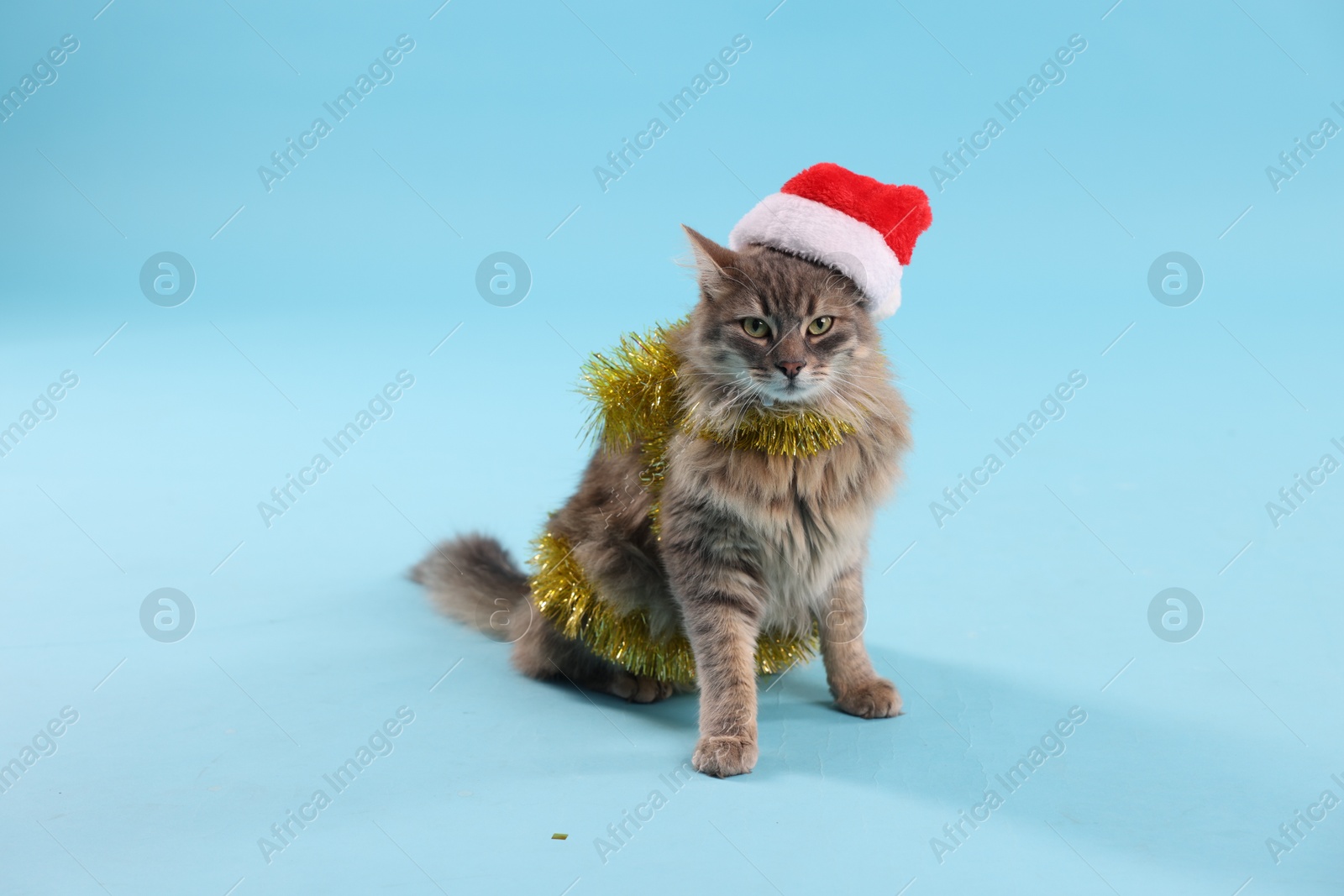 Photo of Cute cat in Santa hat with yellow Christmas tinsel on light blue background