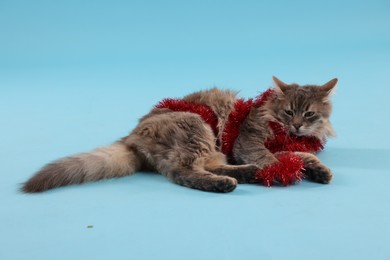 Photo of Cute cat with red Christmas tinsel on light blue background