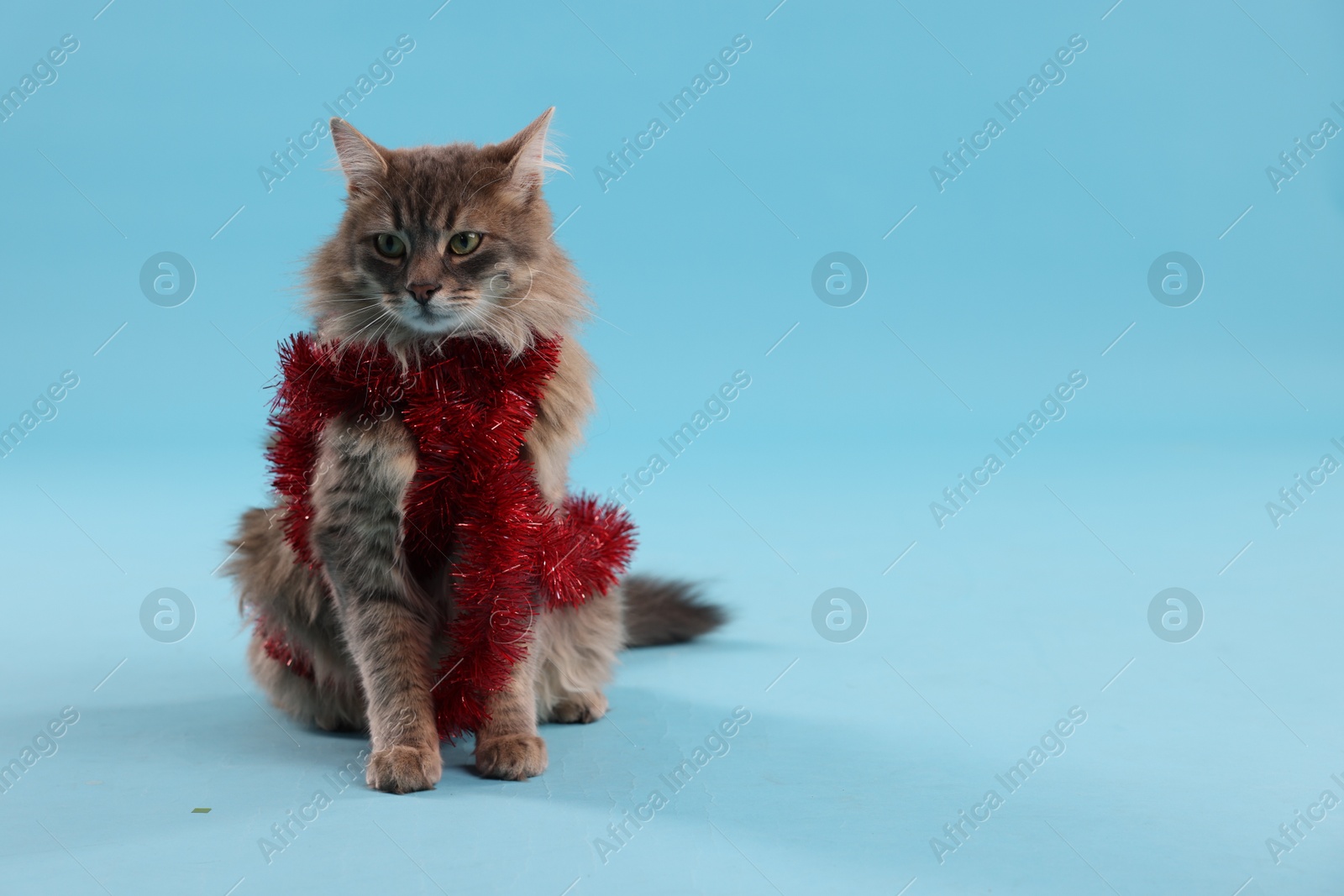 Photo of Cute cat with red Christmas tinsel on light blue background, space for text