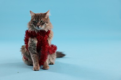 Photo of Cute cat with red Christmas tinsel on light blue background, space for text