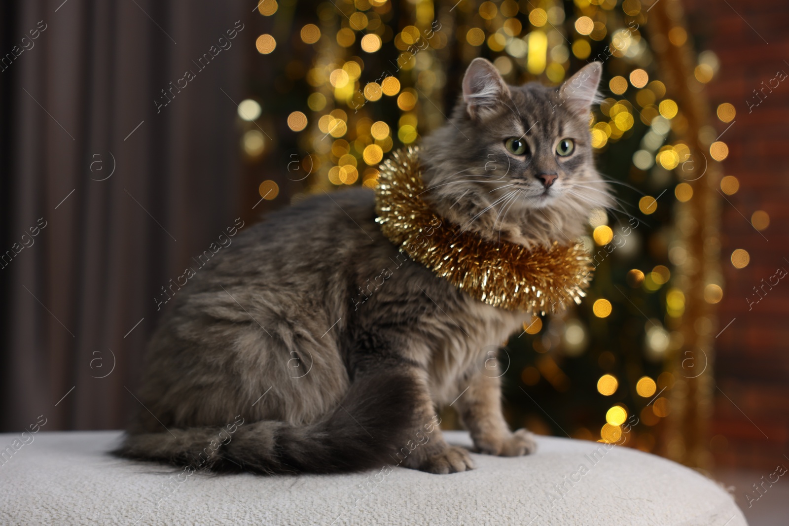 Photo of Cute cat with shiny Christmas tinsel on pouf indoors. Bokeh effect