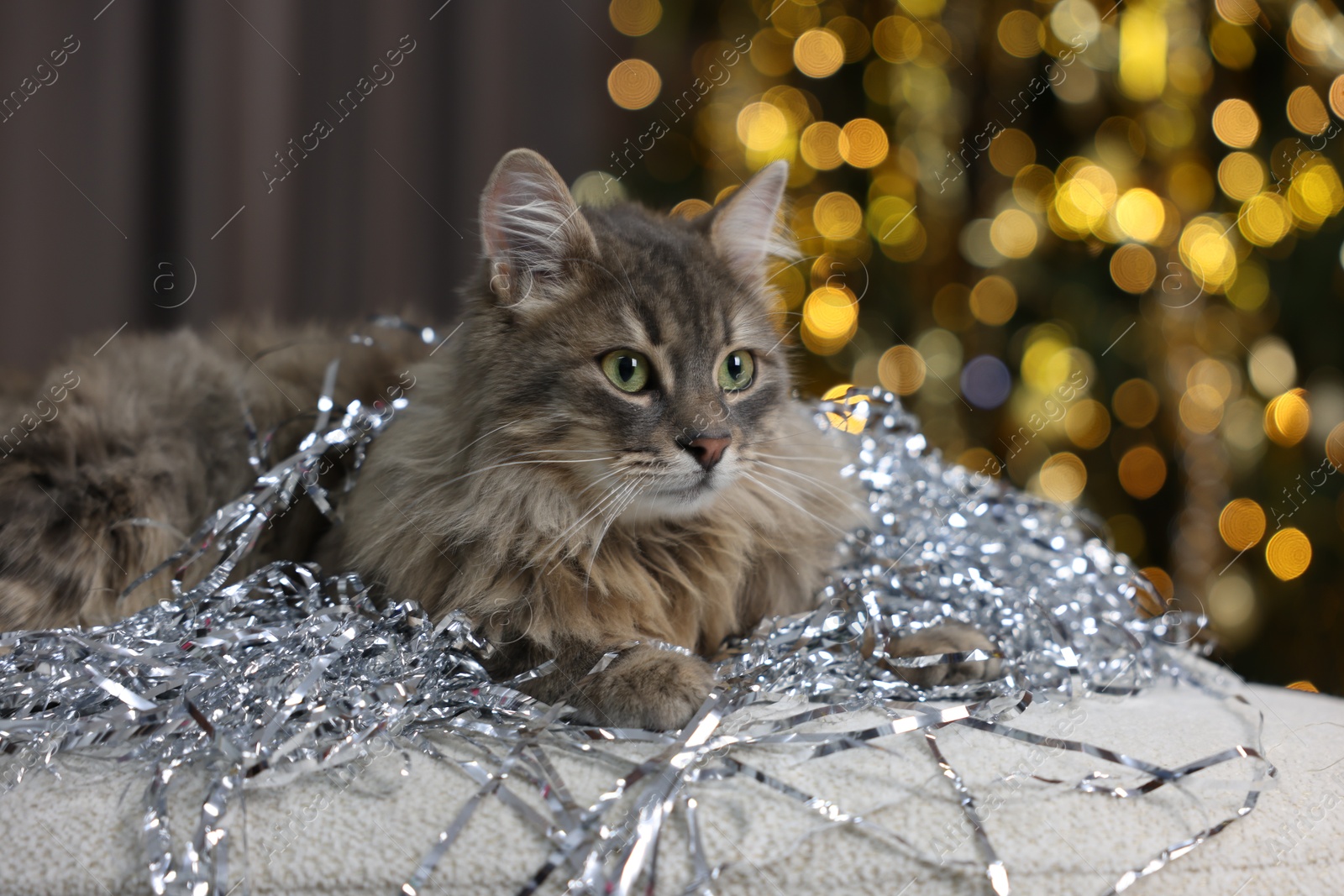 Photo of Cute cat with shiny Christmas tinsel on pouf against blurred lights. Bokeh effect