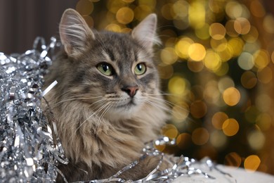 Photo of Cute cat with shiny Christmas tinsel against blurred lights, closeup. Bokeh effect