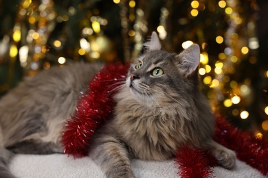 Photo of Cute cat with red tinsel on pouf against blurred lights. Christmas atmosphere