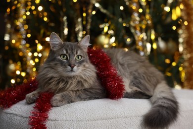 Photo of Cute cat with red tinsel on pouf against blurred lights. Christmas atmosphere