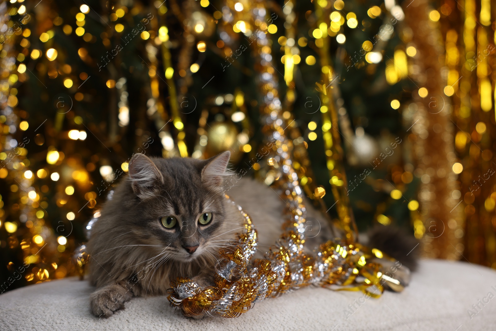 Photo of Cute cat with shiny tinsel on pouf against blurred lights. Christmas atmosphere