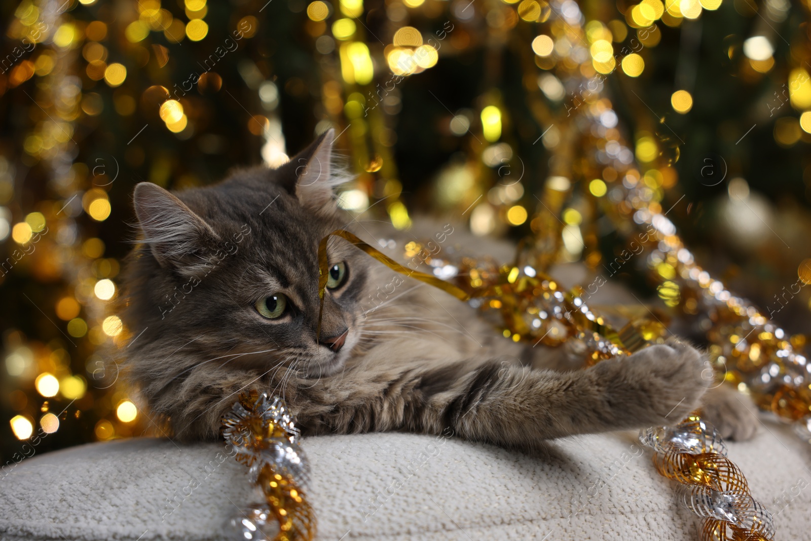 Photo of Cute cat with shiny tinsel on pouf against blurred lights. Christmas atmosphere