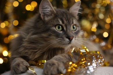 Photo of Cute cat with shiny tinsel on pouf against blurred lights, closeup. Christmas atmosphere