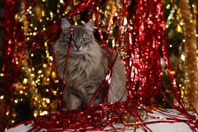 Photo of Cute cat with bright tinsel on pouf indoors. Christmas atmosphere