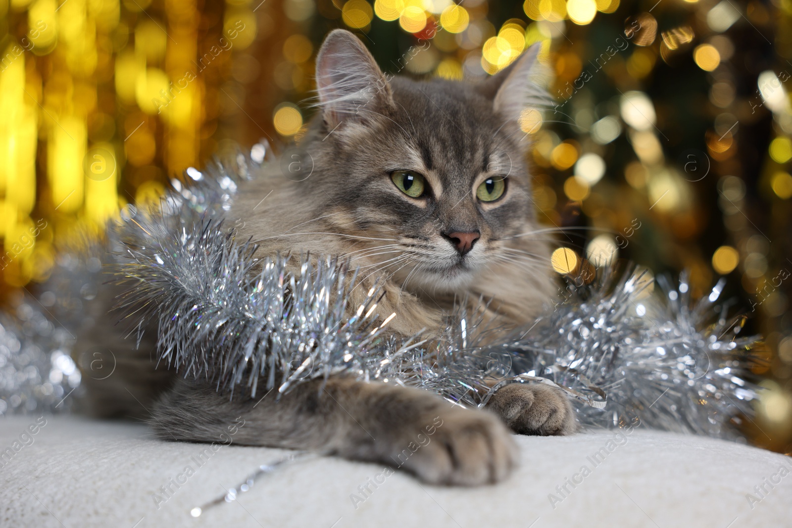 Photo of Cute cat with shiny tinsel on pouf against blurred lights. Christmas atmosphere