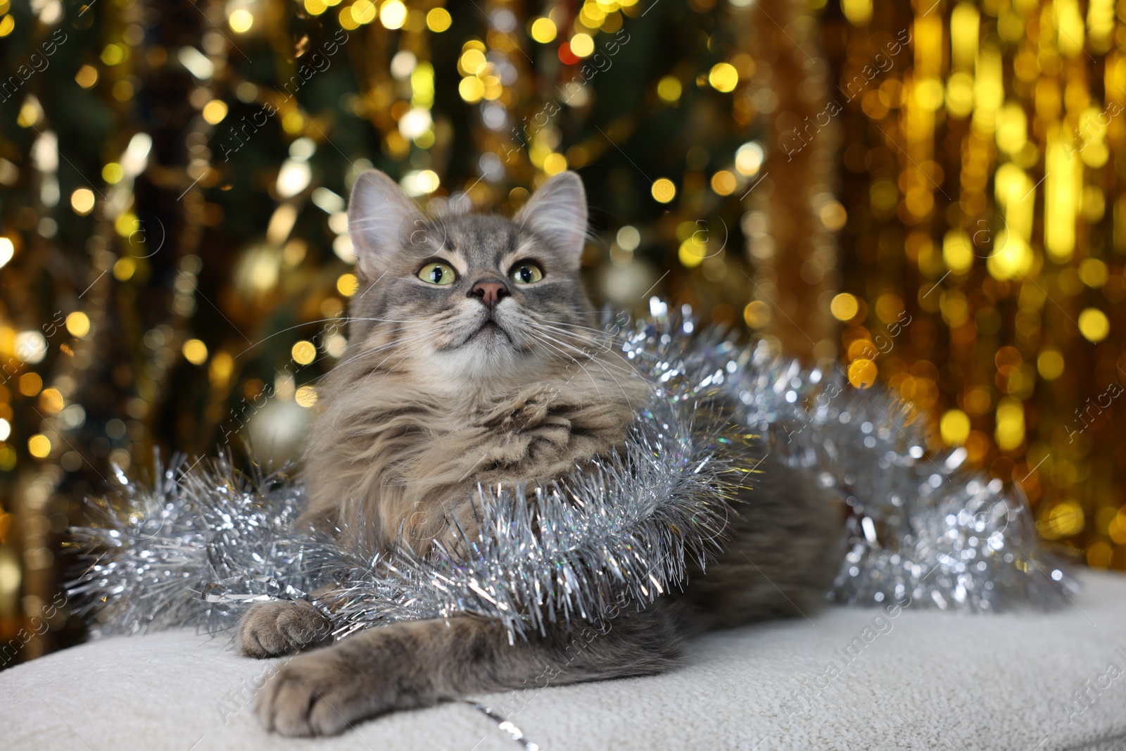 Photo of Cute cat with shiny tinsel on pouf against blurred lights. Christmas atmosphere