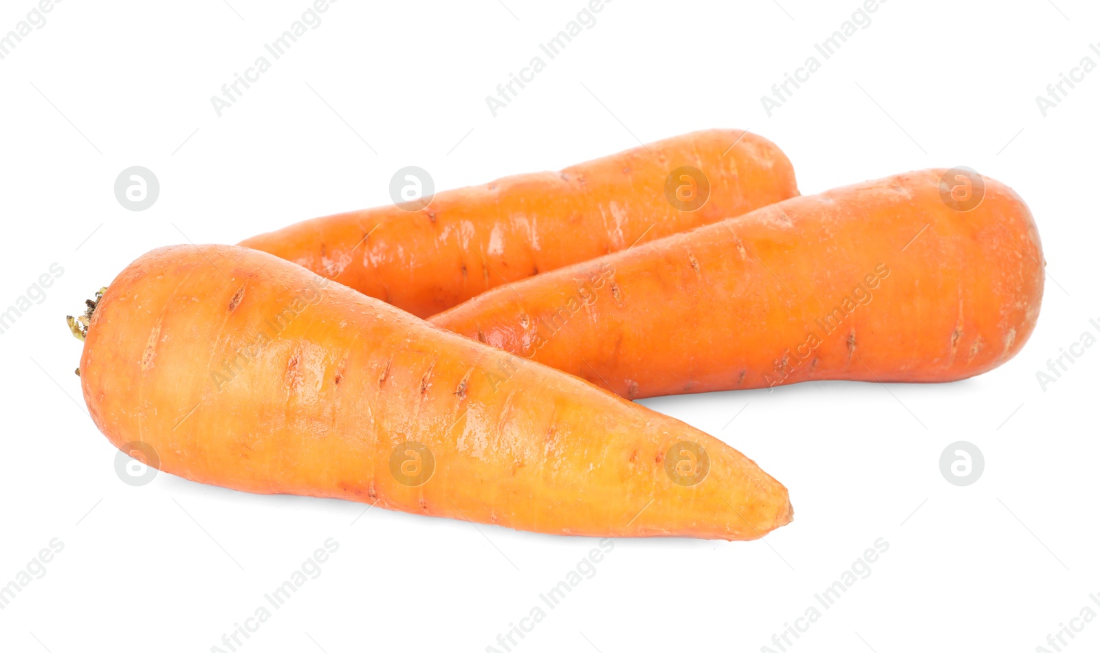 Photo of Fresh carrots isolated on white. Root vegetable