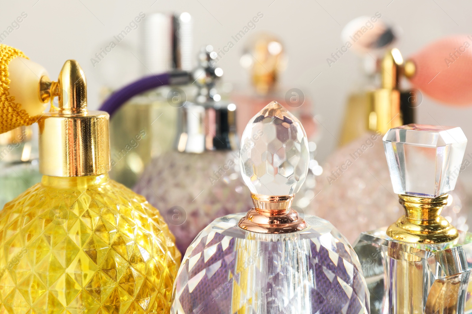 Photo of Different aromatic perfumes in bottles on light background, closeup