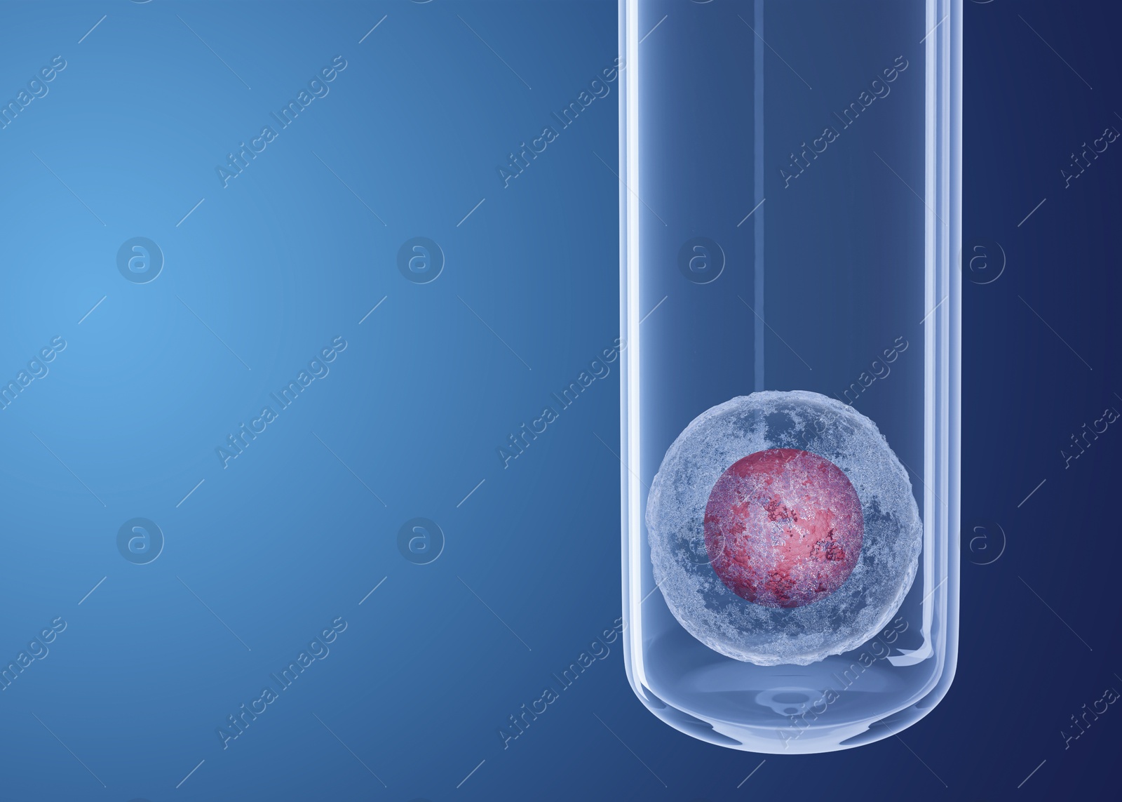 Image of Egg cell in glass test tube on blue gradient background, space for text. In vitro fertilisation